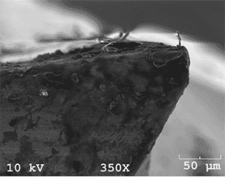 SEM image of a cutting edge (350×)