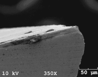 SEM image of a cutting edge (350×)